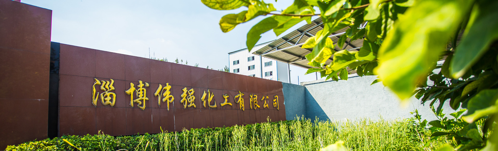 淄博伟强化工有限公司
